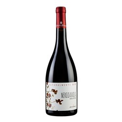 Nero d'Avola, Caruso & Minini